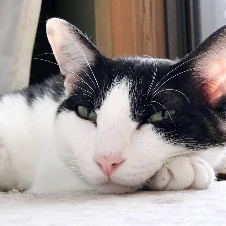 D52a9838 fc83 4b0a 918f cd0295b3d6e4 1531791935753