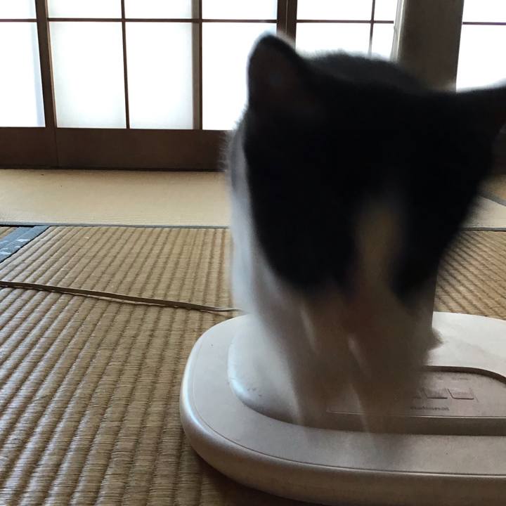 D52abef7 5a4d 4b70 a851 76ba5f799ea3 1624507120151