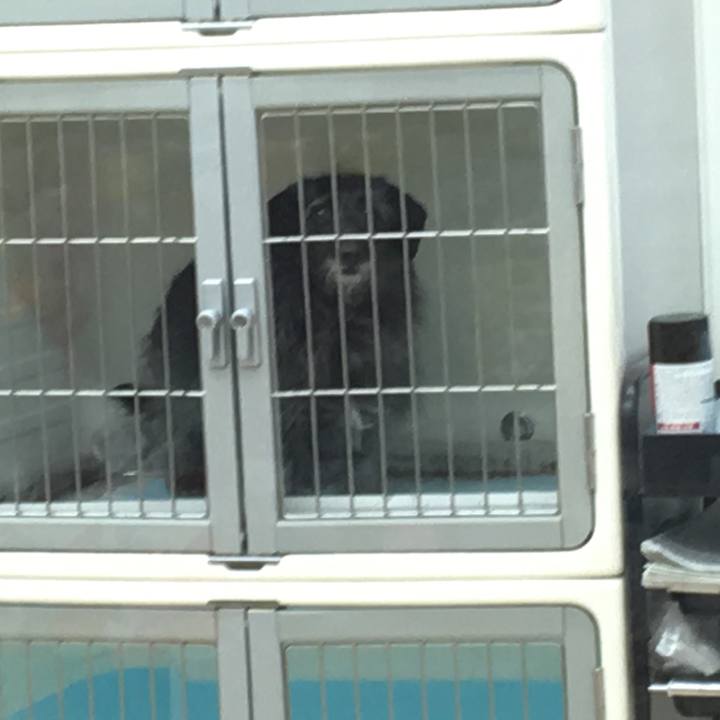 D52b0a89 3a1f 4492 bce6 e3c087e5d866 1560465574988