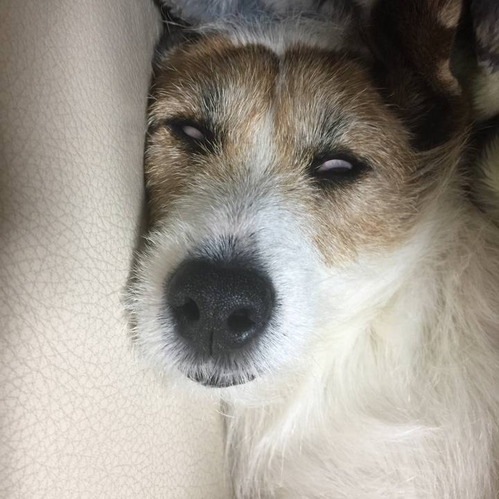 D52b251a 188e 4f0b a6b3 c906f314f3a5 1549720755545