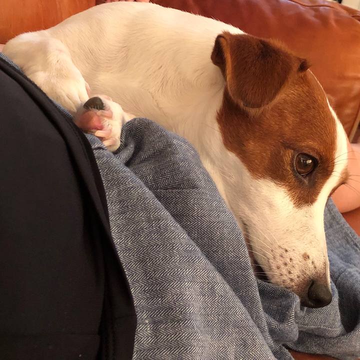 D52b376d 6559 4360 b470 c7e1ef9b8b5a 1566527292507