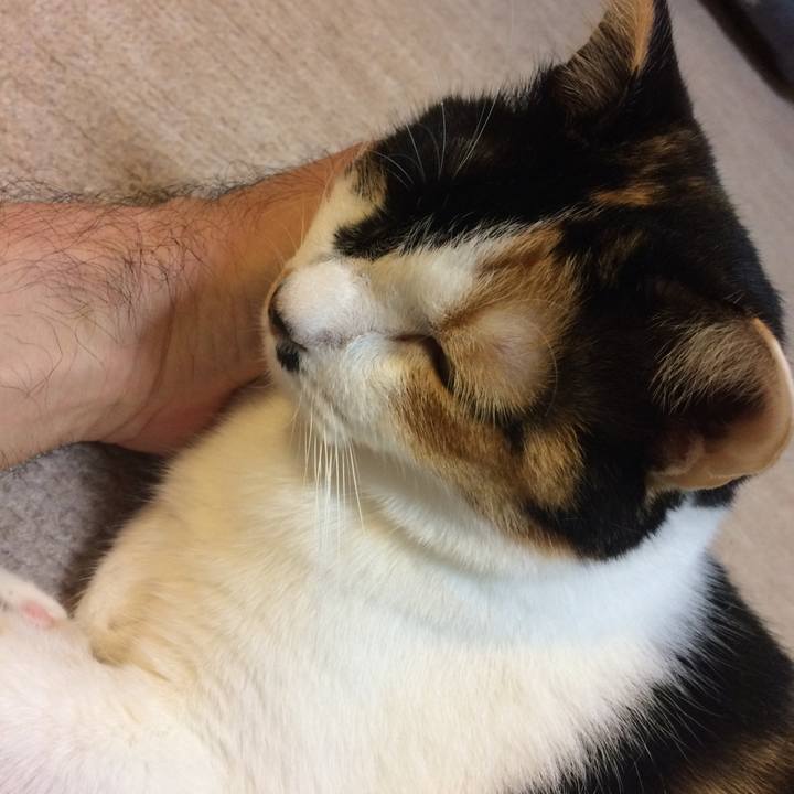 D52b502d d85e 4ff9 b688 30fb0beec09b 1602289242642