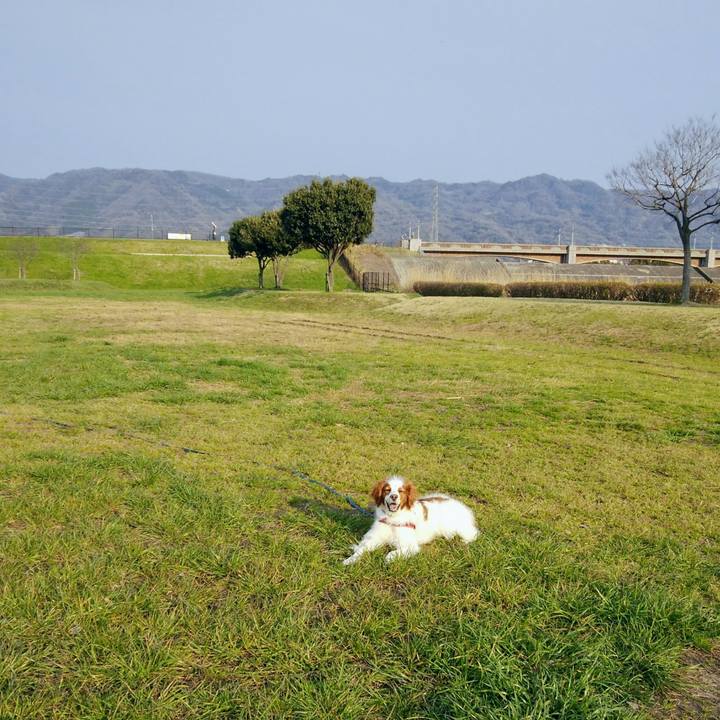 D52b7167 3d77 43b7 8b72 1b6c171f6321 1552640311677