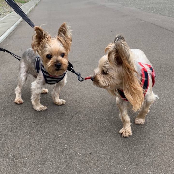 D52ba4d5 5f01 448c 9b1f 13fa8acbff99 1657879142372