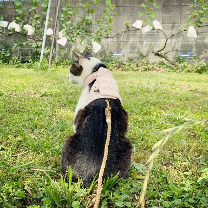 D52c1172 09f7 4acd b563 61f2504c9014 1623405172276