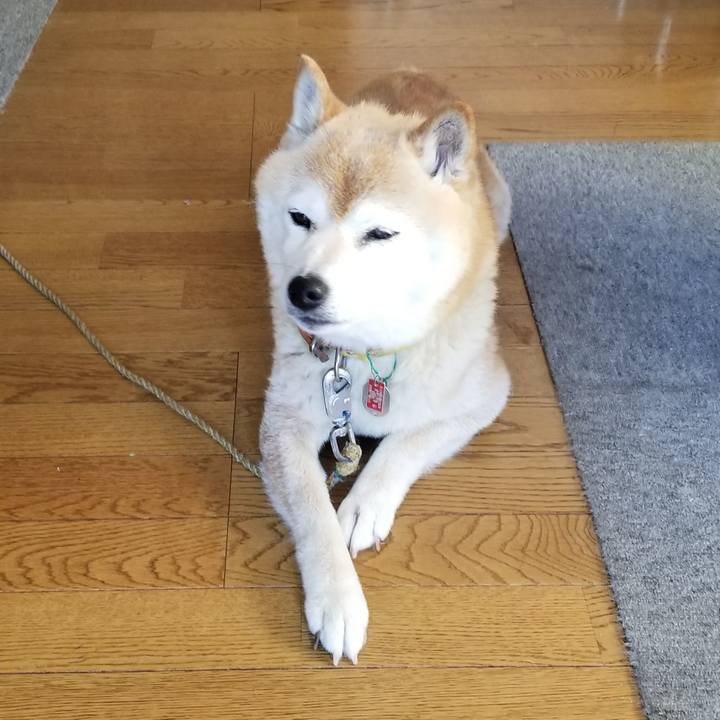 D52c23a0 efe0 413f 8b65 aa7a44ddb923 1687993699409