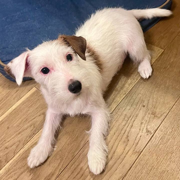 D52c65e2 3495 41fd 9001 8d73baf43527 1758550304046