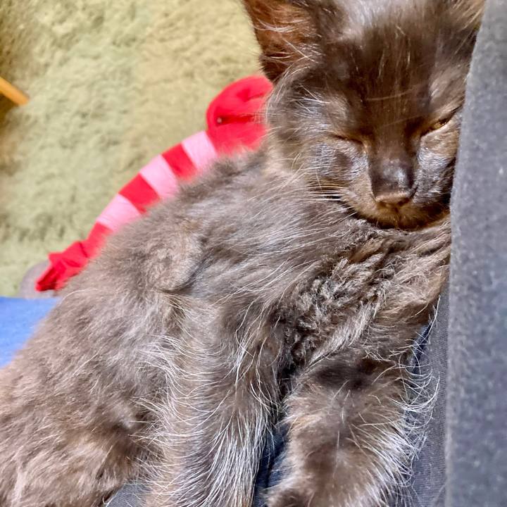 D52c6ea7 1f78 47e5 8152 4b1d0e471929 1699259443153