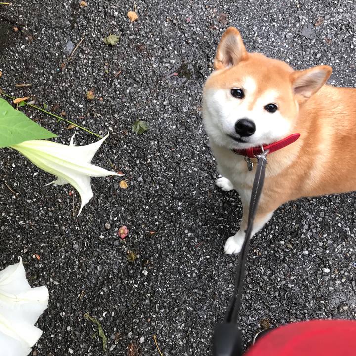 D52c7579 cc48 4b6e 9d4d 963551d30761 1572054237654