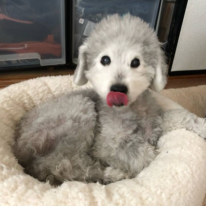 D52c8ee7 970b 47b7 808c fc17e50e32f0 1742380272469