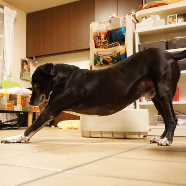 D52cc6dd 841d 405e a8a4 8b64662a039e 1758107343181