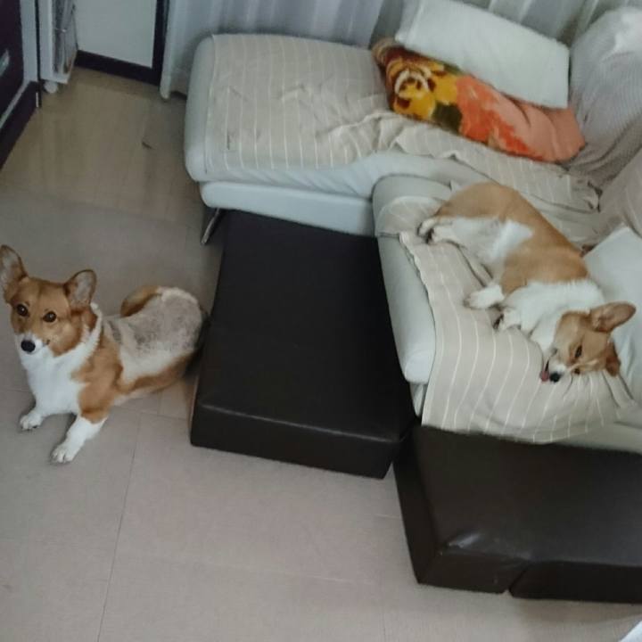 D52ce77e 6c38 44ff 8047 8ea4cc0afae8 1533189338247