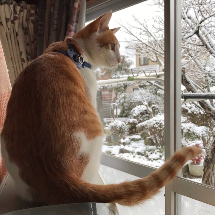 D52cee3b 036b 4073 a53e f15bd7092b1b 1516880825553