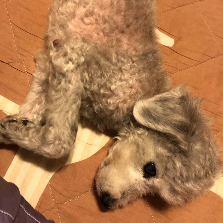 D52d029c 68ea 4a93 8e72 66194e702783 1590544011605