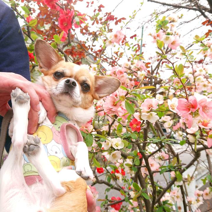 D52d4cb4 3bef 451f a21b 63125e6a202a 1616281918865