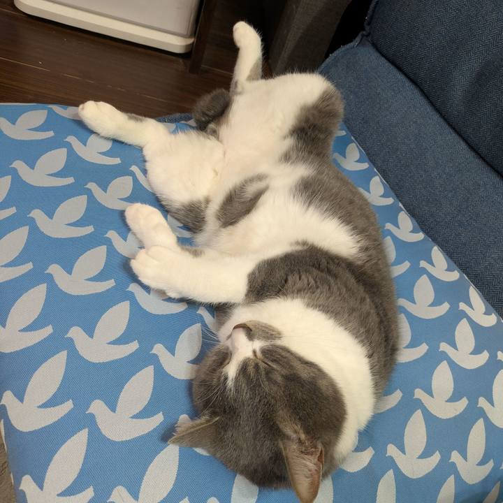 D52dd0e2 efad 4f32 9bf4 aed8bae143fd 1745242572912