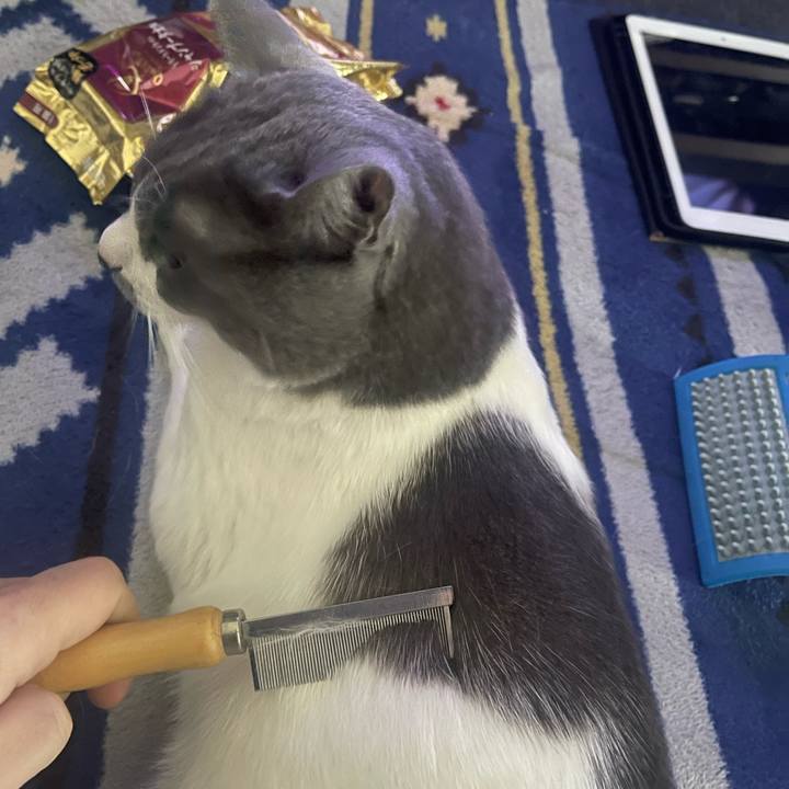 D52dfcd4 ffdd 43f8 b654 afb9f39791ac 1668308661542