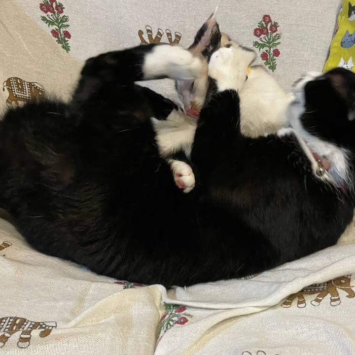 D52e15d0 403f 4ce5 8819 17f9ecf9f340 1666692315289