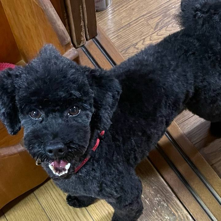 D52e2d92 4baf 4096 9b7d 5e09bb8981c5 1662266550999