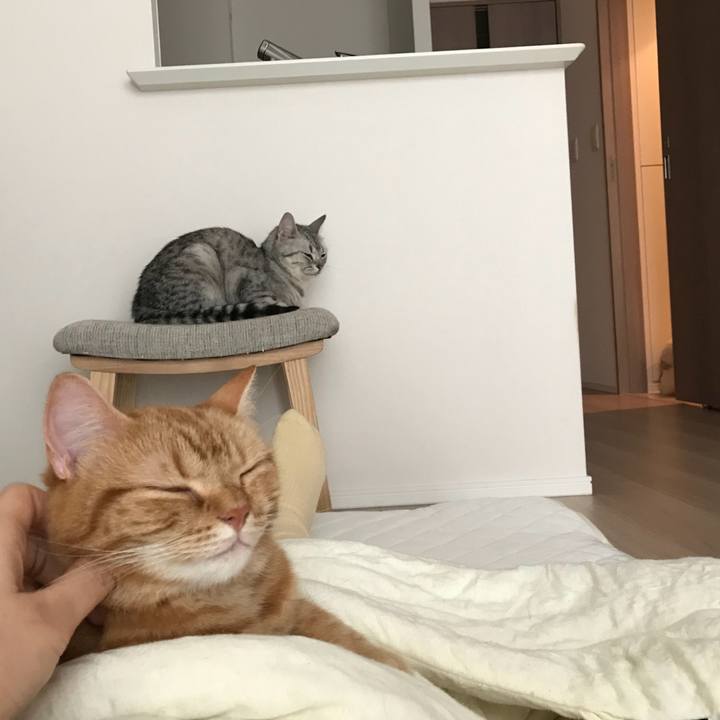 D52e5b62 663d 40c5 bd9a cc8800a6105d 1529619979959