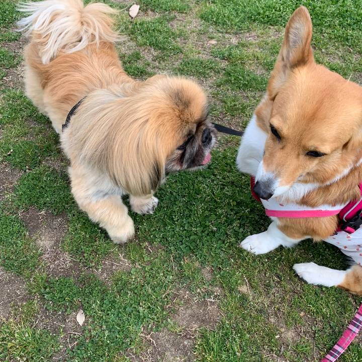 D52e951f b972 4097 aca3 78573c3725ba 1618200293253