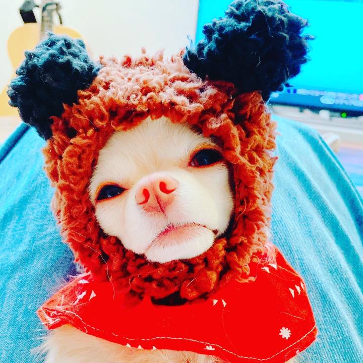 D52f1efb 48b5 47f3 9ce2 119f60828323 1647569386567