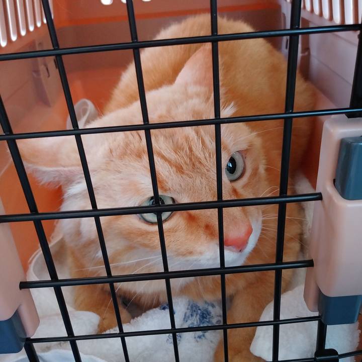 D52f28e4 9096 4589 b75a e43e862c1a5e 1589776800818