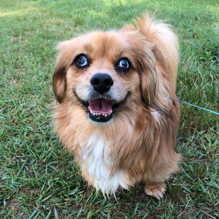 D52f374a 3c3d 44db 8efc 5d03bb19291f 1559772675025