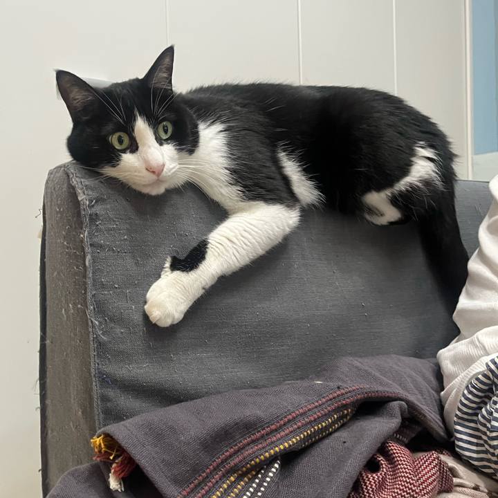 D52f909b d499 4f9b 9cbf 9a3d0c38ea8d 1759793433663