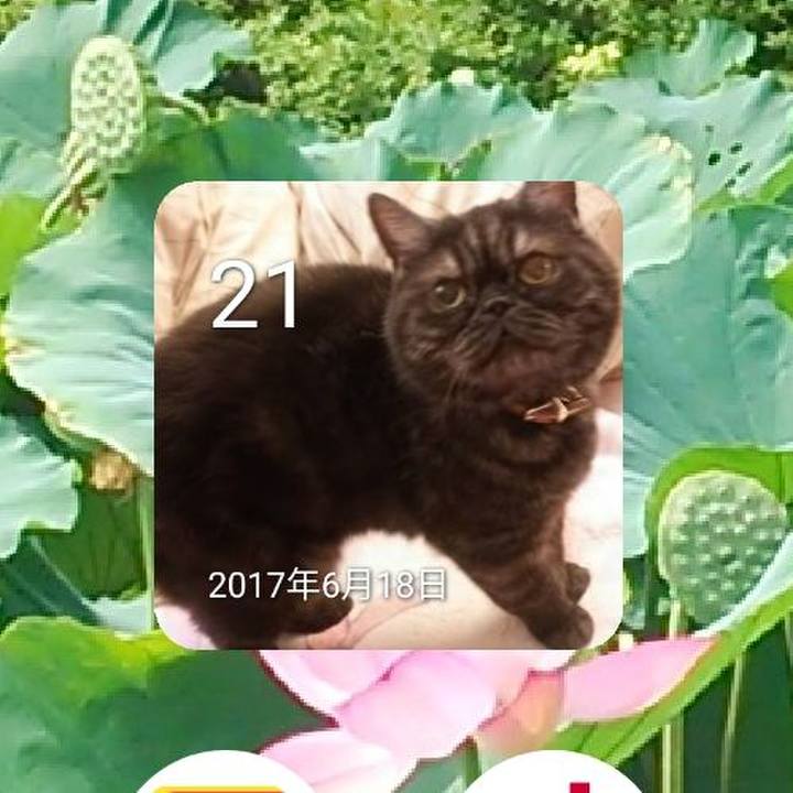 D52f9d6c e9e0 454c 9761 fcb0d4322cba 1655816812850