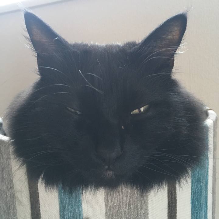 D52fecb8 33d2 48d5 b400 d2a8a4e034ef 1520909360652