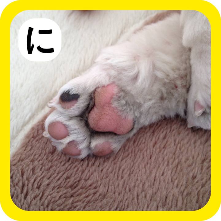 D5301ff7 dbca 40aa 89a2 5b144f2f97d7 1514980275562