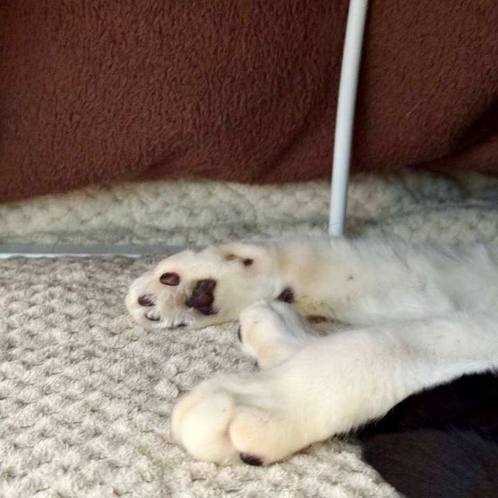 D53068f1 184f 42d6 ac0f f6fbf4356e7c 1736919663315