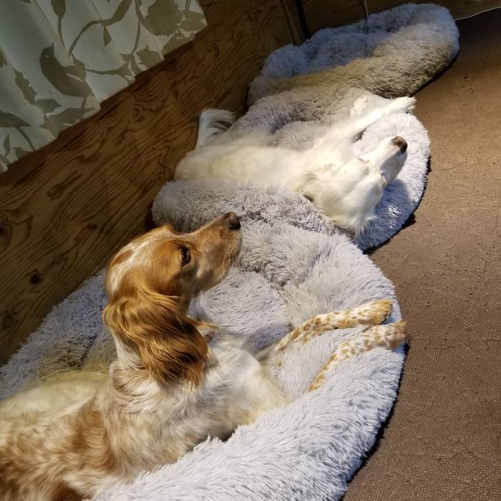 D5306957 889b 4394 be8f 5b8d5cbbb7d2 1611409798421