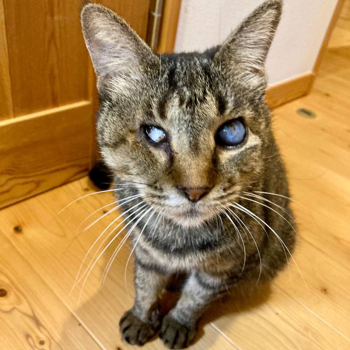 D530b31d cbc2 4692 b500 123448d04c76 1664698483319