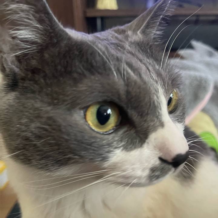 D530b71d 2b3e 4886 bec8 15ea3cd336d2 1743145081423