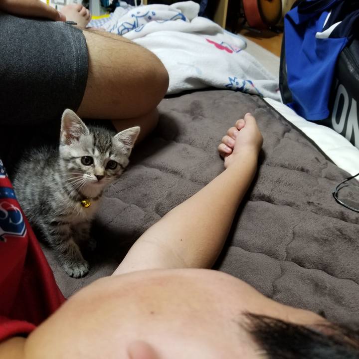 D530b853 0c36 45e9 85e0 a34ca3e636f8 1662378134048