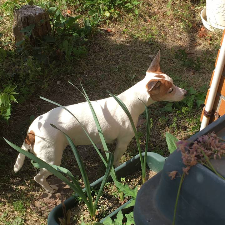 D5310586 6810 4067 945b ff23dc3e2d79 1542107484126