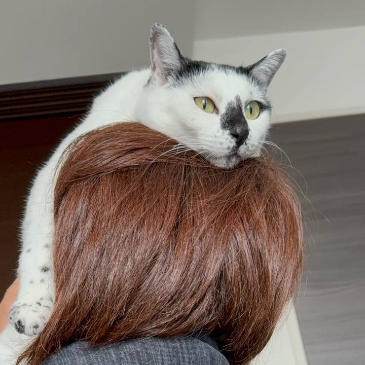 D531355e a14a 4219 b709 cd8a668db9da 1771296381190