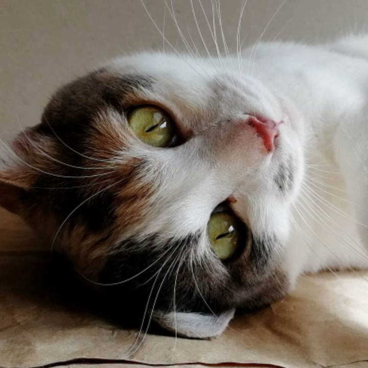 D531867e 4fbd 4c08 a167 d71c48a641a5 1595932600135