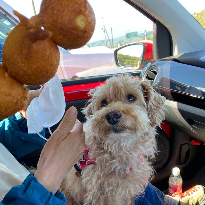 D5318c5b 0682 4fb1 8b14 b79978d9551f 1664329873034