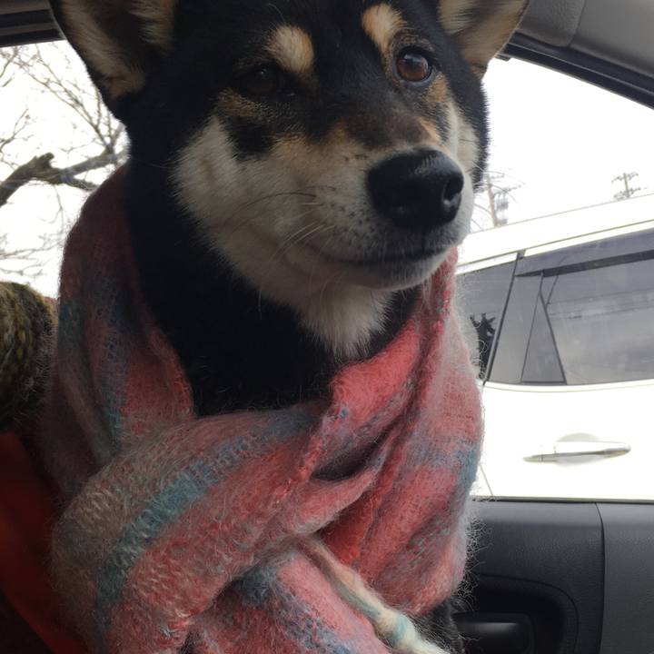 D5318d29 0372 4bf2 bbf9 a7b314a89046 1546248269723