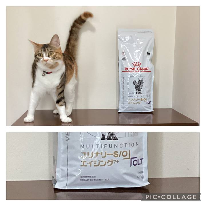 D531caf8 e07d 44fb 8e90 8d1b10e0d16c 1654567655627