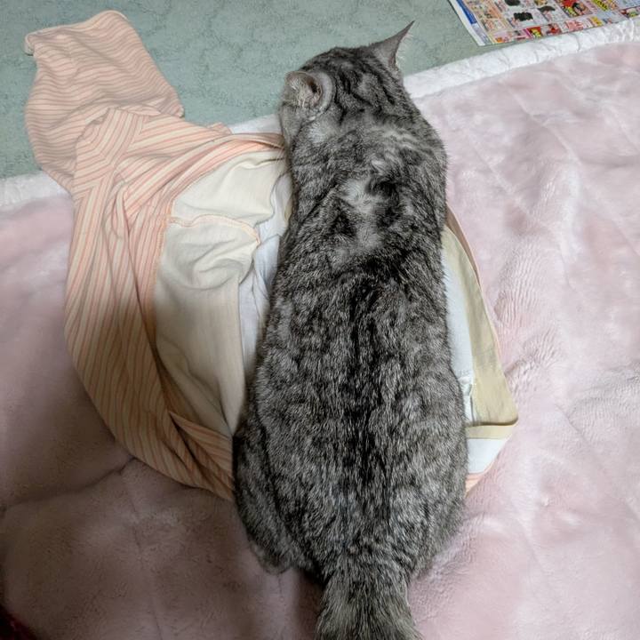 D531cb10 a016 452a 8d5f 6817b400720c 1746460287888