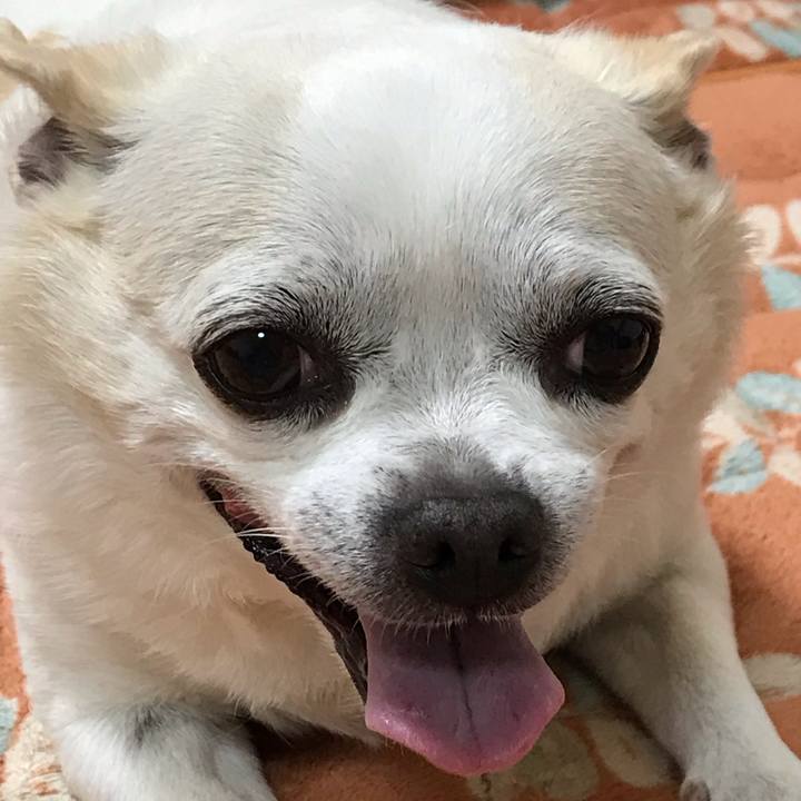 D53256e4 1db4 4d15 b95a 1a0189ce7283 1556870261642