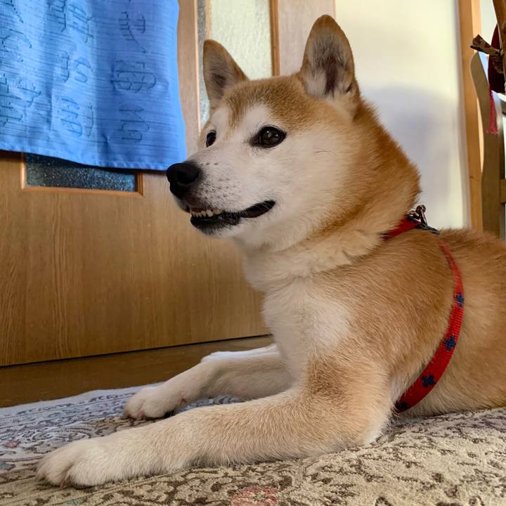 D5326fd4 b92c 4d7a 8211 7d8f848b0afb 1687738415599