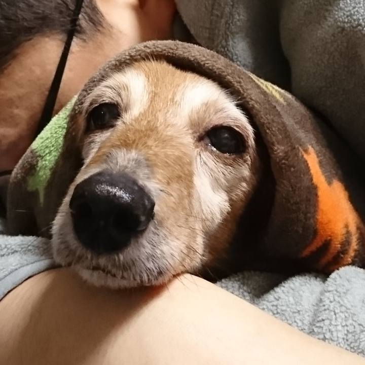 D5329697 f114 46c1 aa24 fdc751d62194 1593022717280