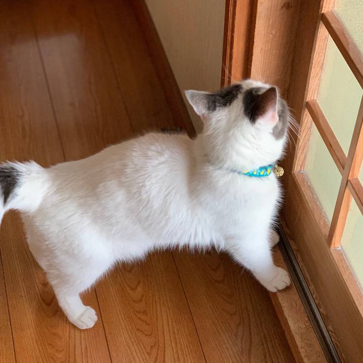 D533038e 72bd 4781 ab46 1f12518600c3 1691021694596