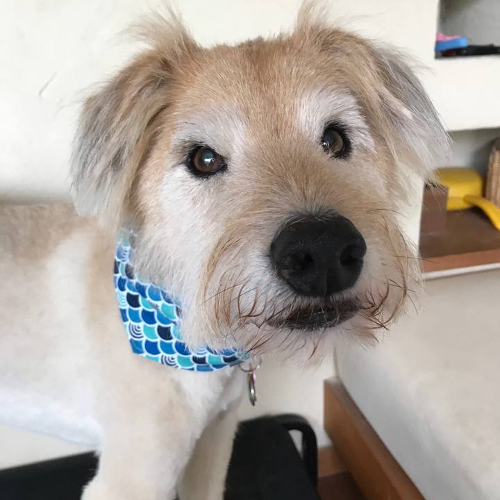 D533a168 2ab6 43ce 896b 6dd2ca6b781c 1594704221226