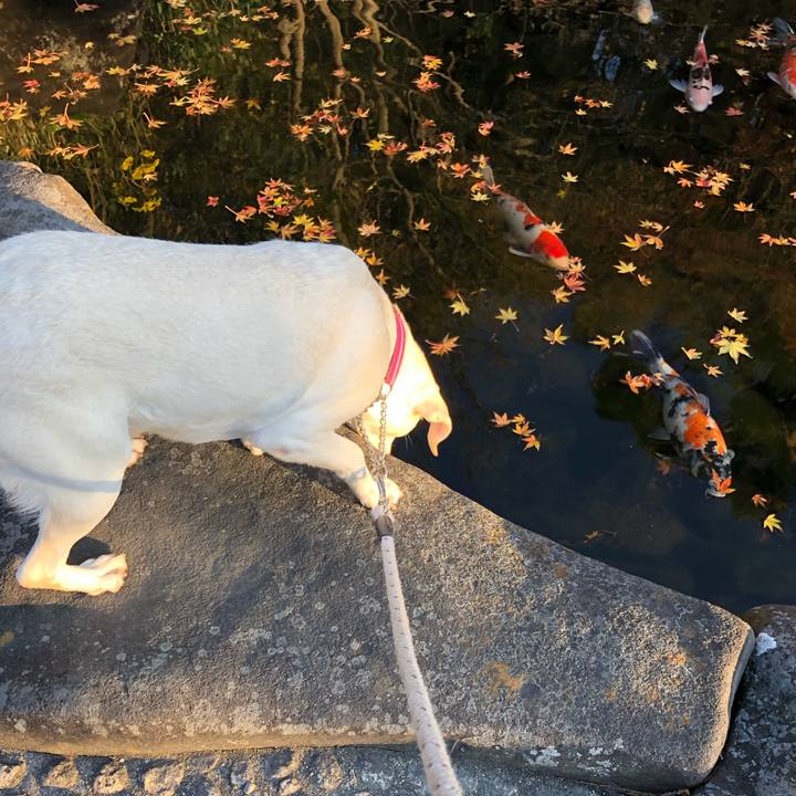 D53400a2 94a2 44c5 86c6 24421f2a2074 1576310536494